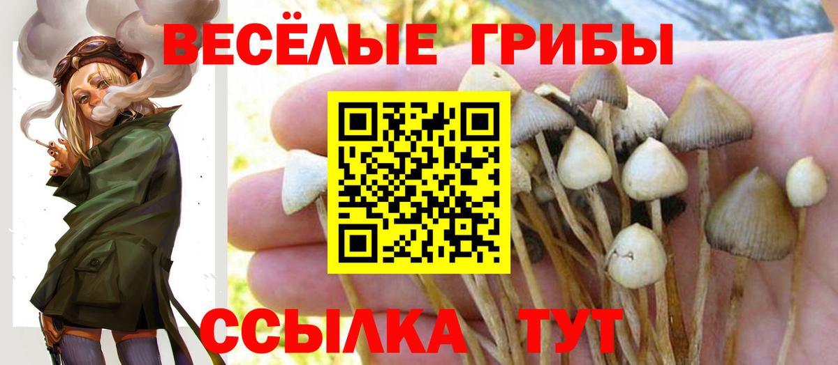 Псилоцибиновые грибы мухоморы  Галлюциногенные грибы GOLDEN TEACHER  Каменка  Вход с VPN 